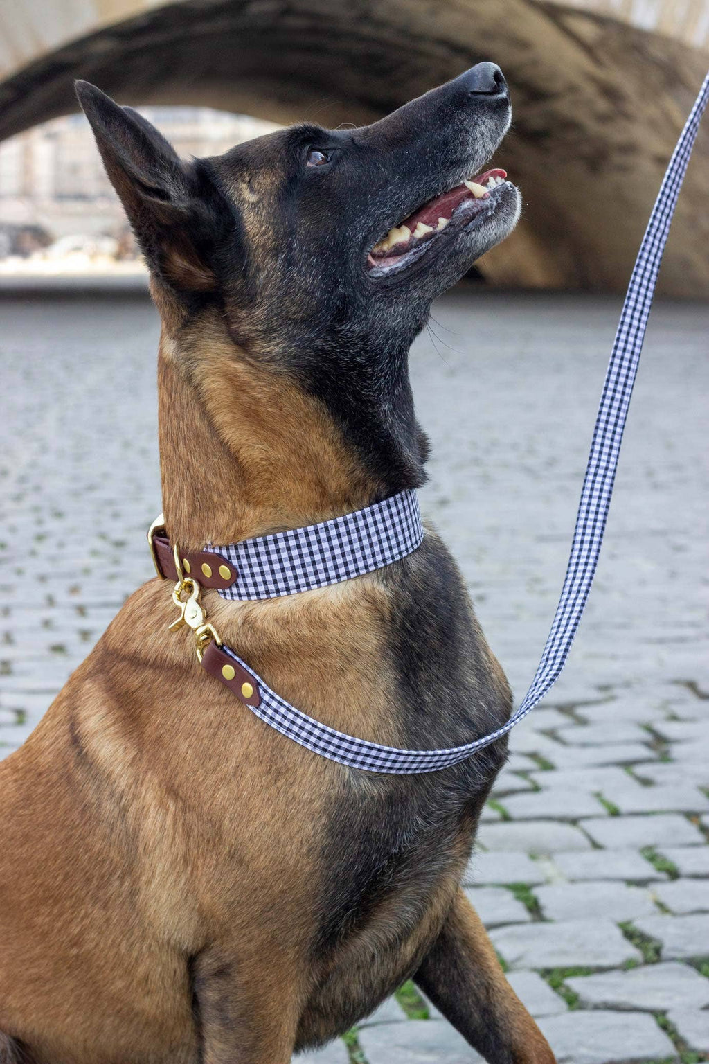 Madrague-ketting