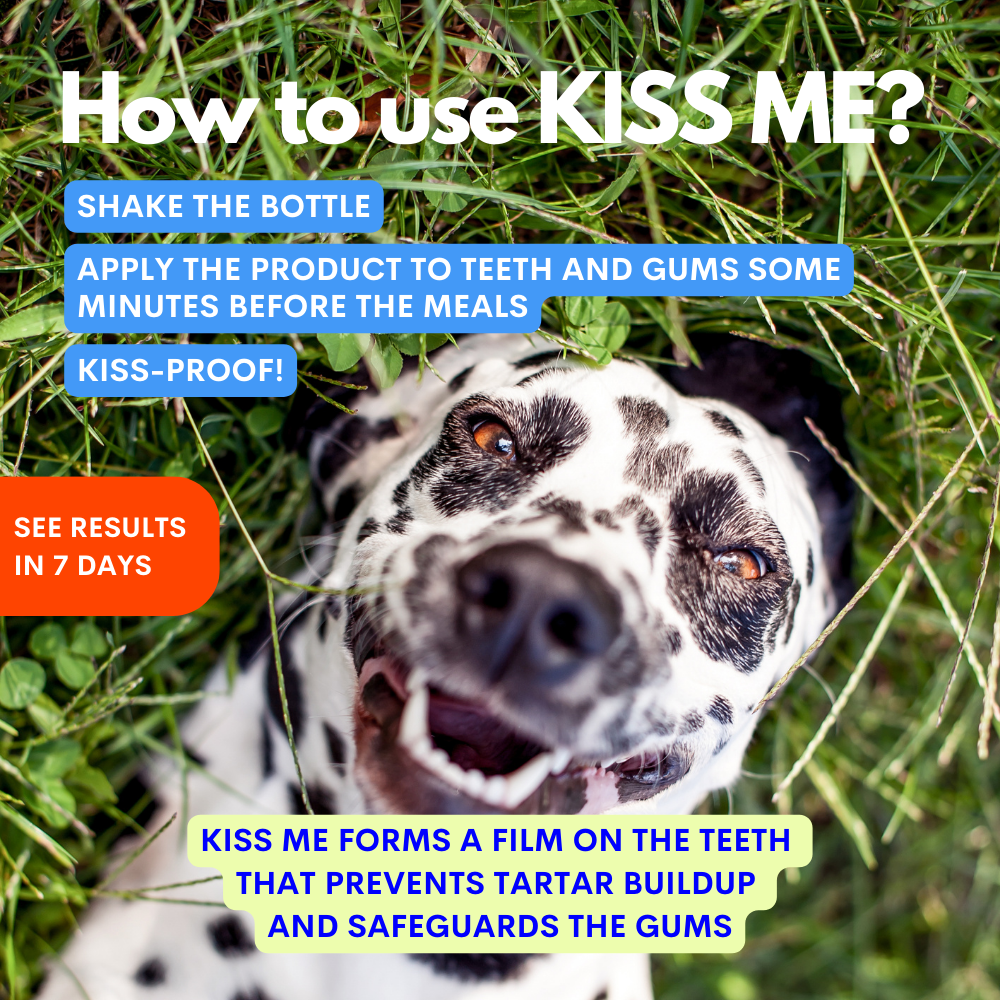 Kiss Me - Natuurlijke tandenspray tegen slechte adem voor honden