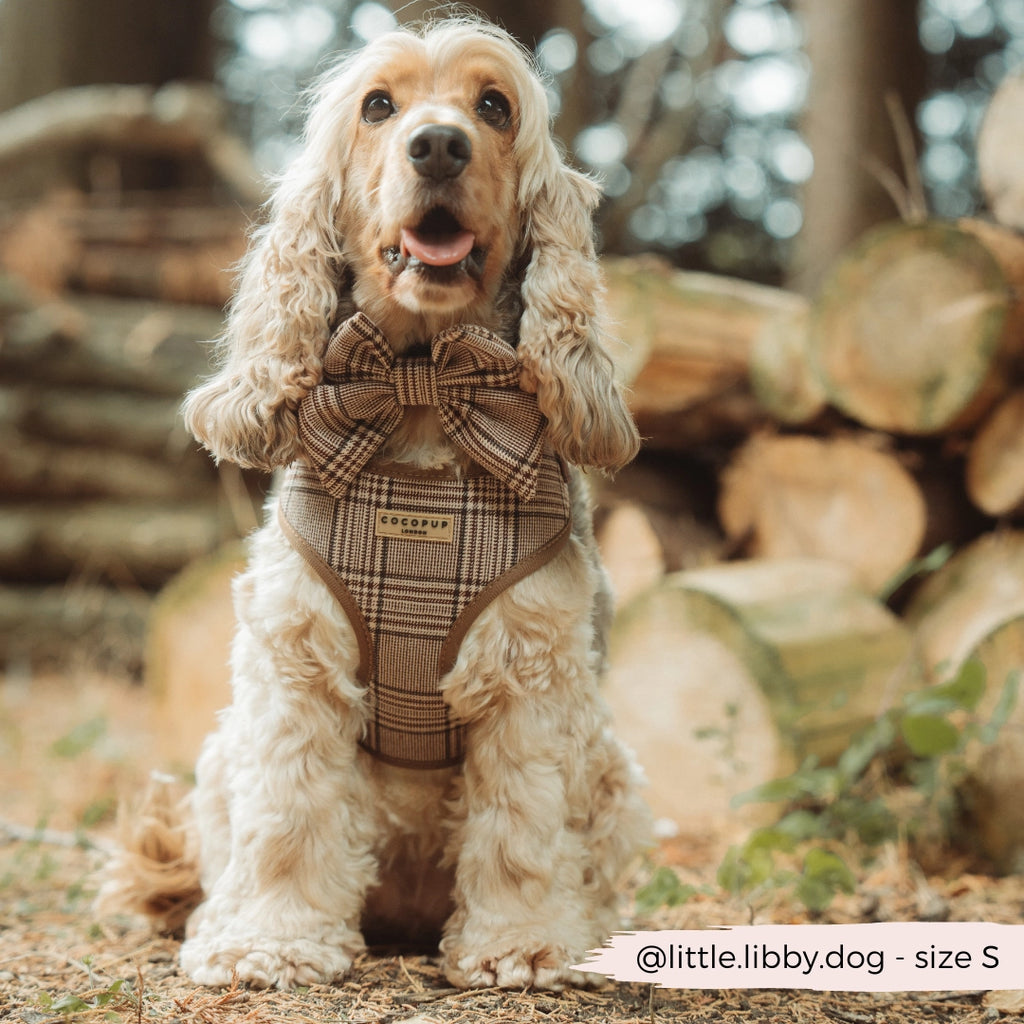 Pup Plaid Adjustable Step-In Harness | Cocker Spaniel