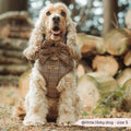 Pup Plaid Adjustable Step-In Harness | Cocker Spaniel